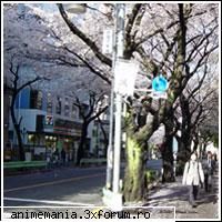 orasul musashino este un oras situat la una din capitalei, tokyo, la 20 de kilometri distanta de